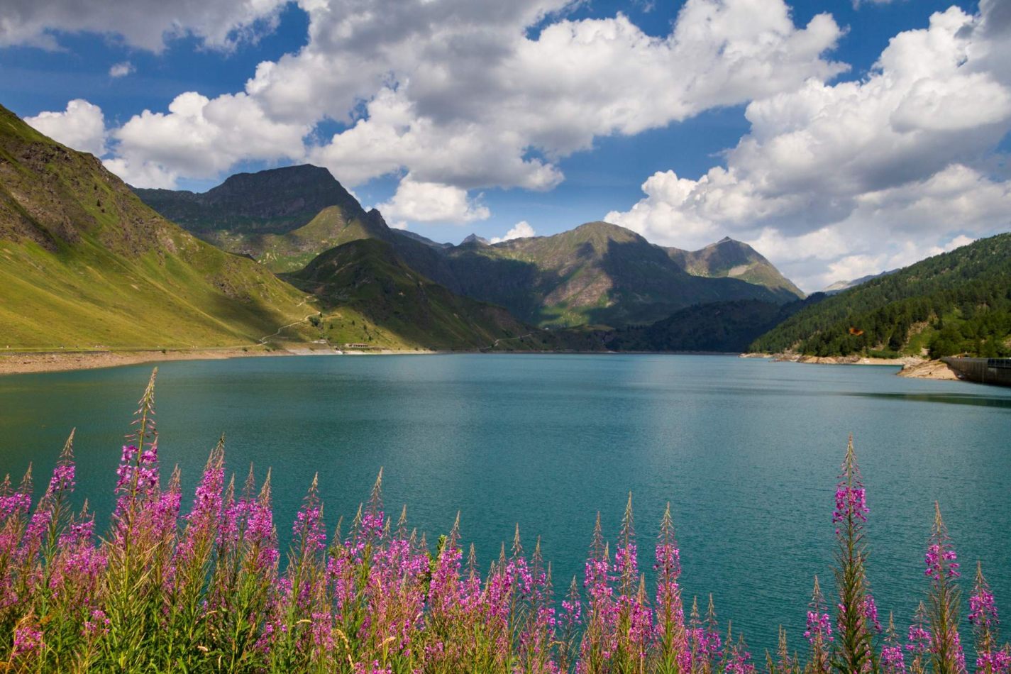 Storvandre: Ritom Lake