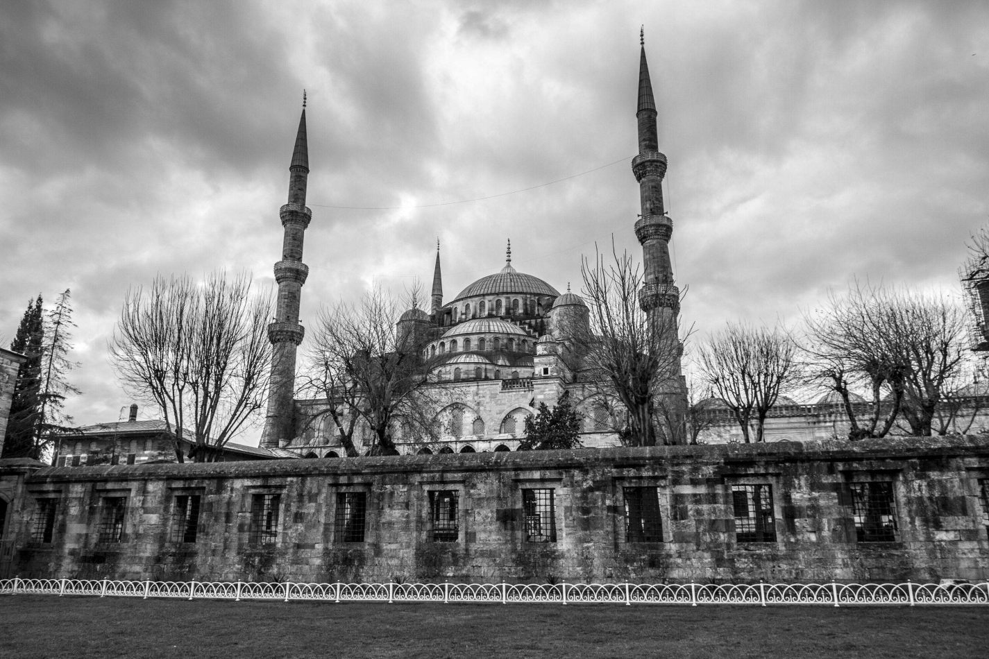 Storvandre: Istanbul