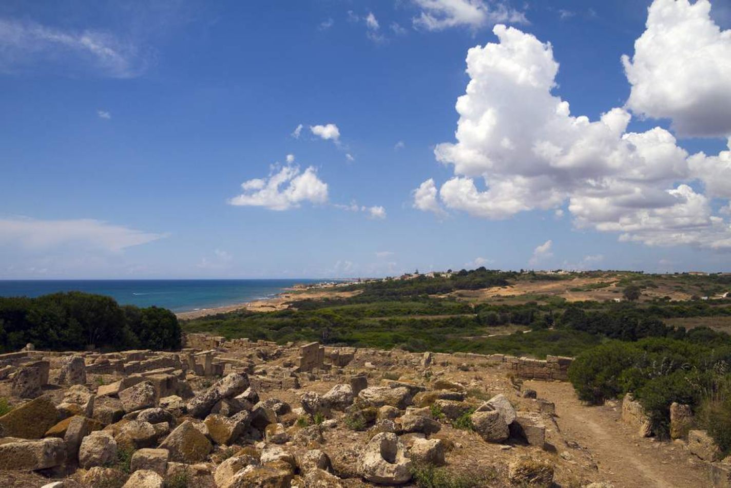 Storvandre: Selinunte