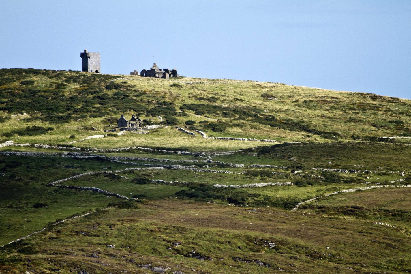 Storvandre: Mizen Head