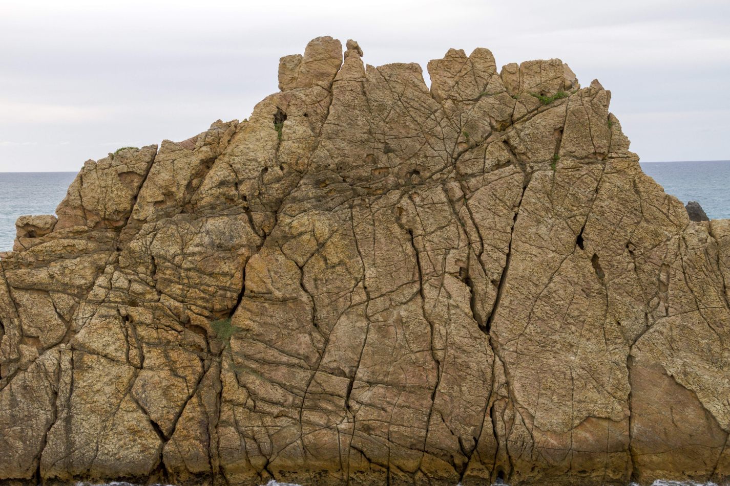 Storvandre: Liencres