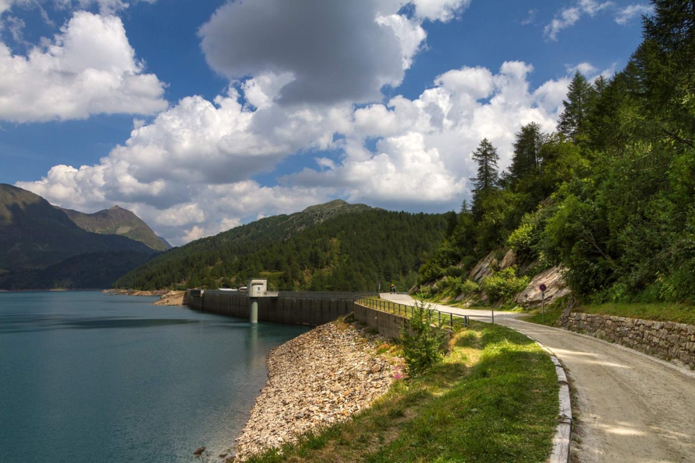 Storvandre: Ritom Lake