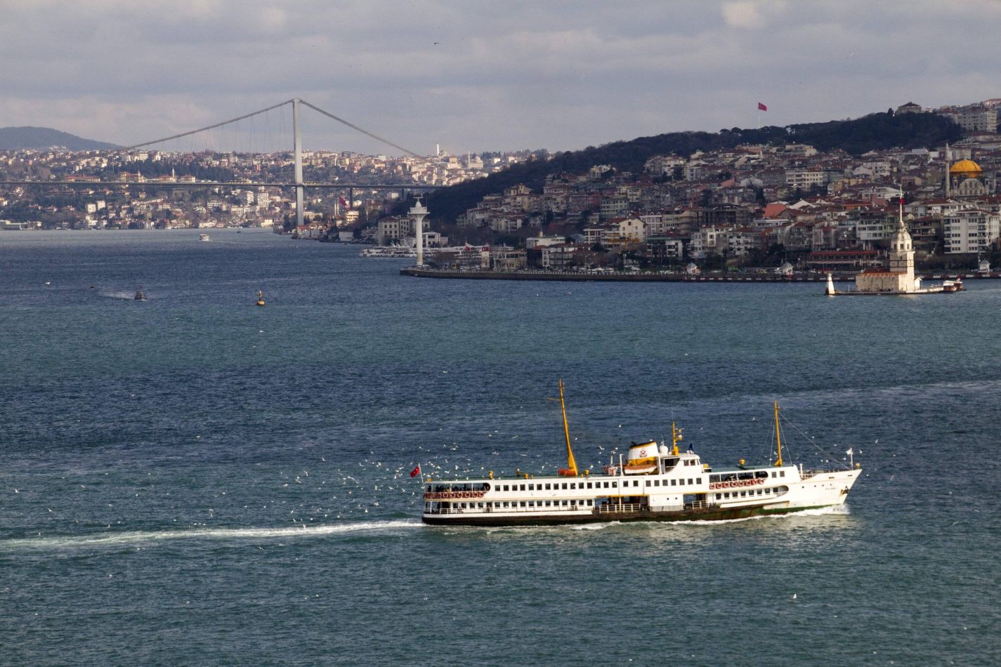 Storvandre: Istanbul
