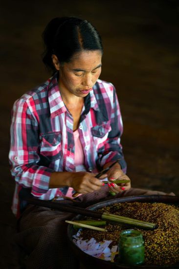 Making Cigars of Myanmar