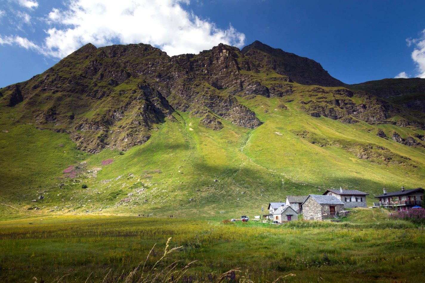 Storvandre: Ritom Lake