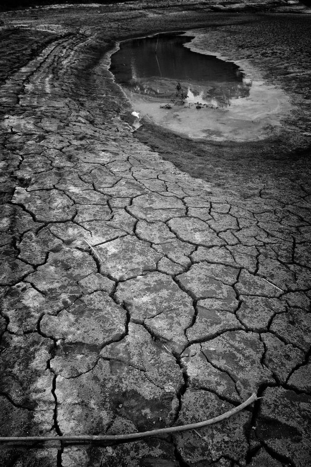 Storvandre: Mississippi