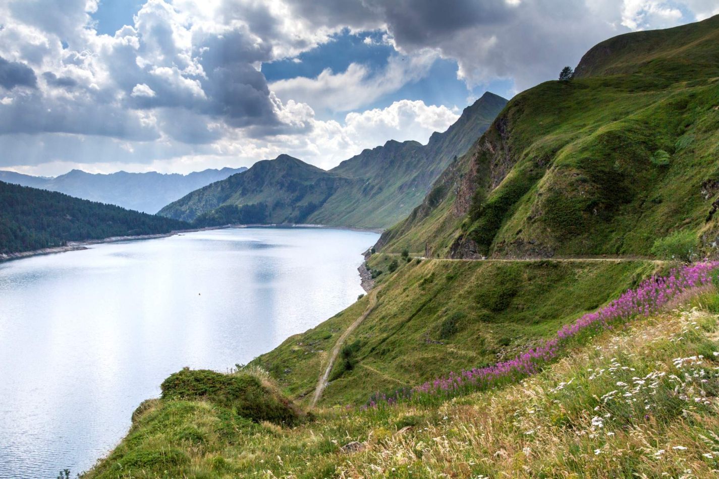 Storvandre: Ritom Lake