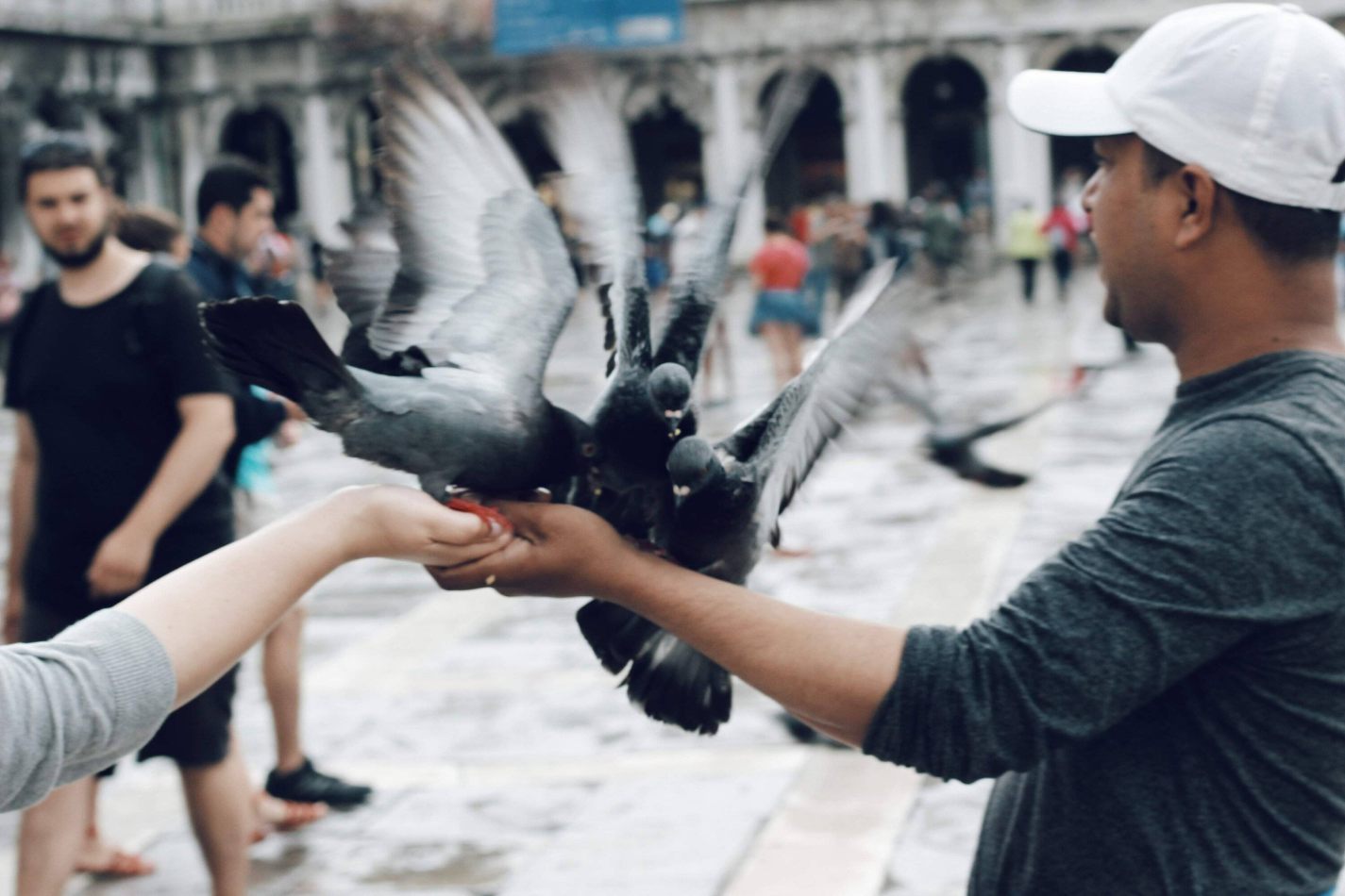 kctamvakisphotography: VENICE