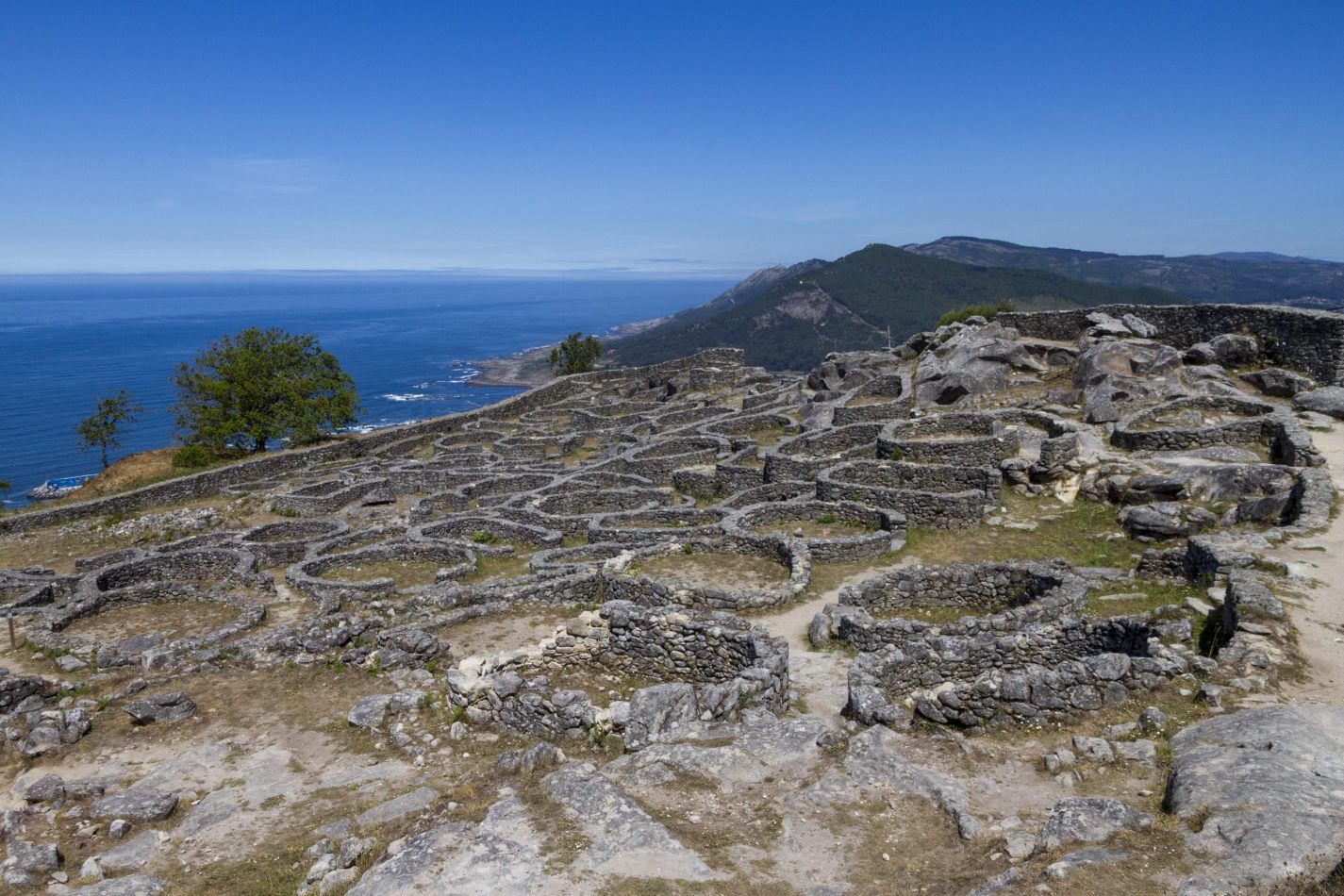 Storvandre: Santa Trega