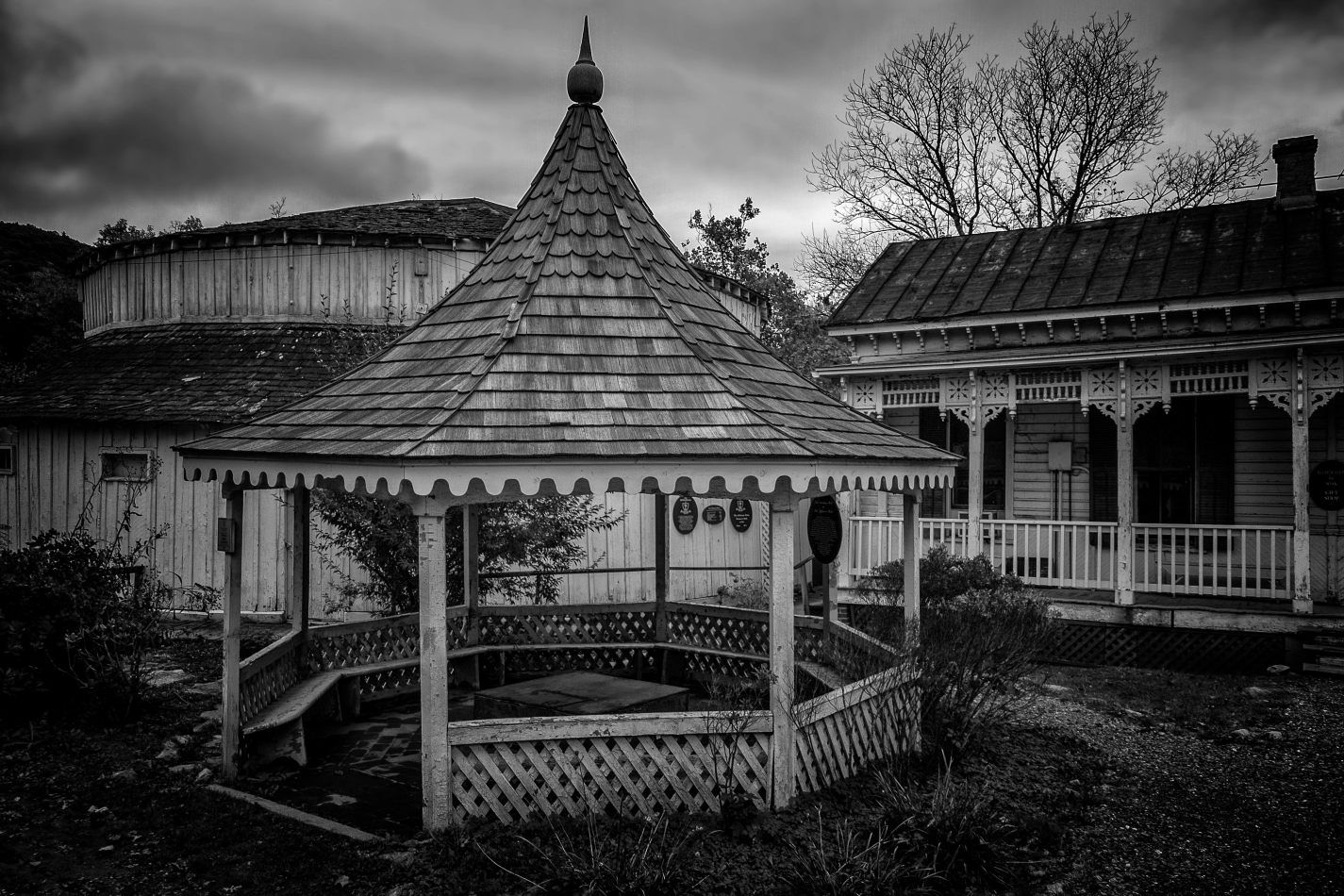 Storvandre: Virginia