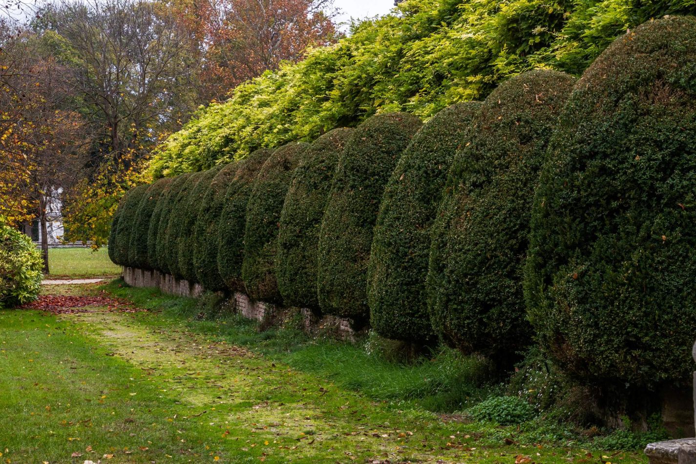 Storvandre: Villa Pisani