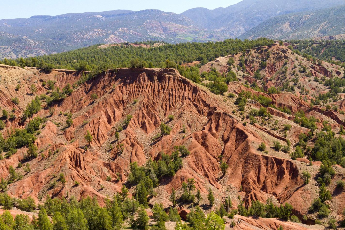 Storvandre: Tizi n Test Pass