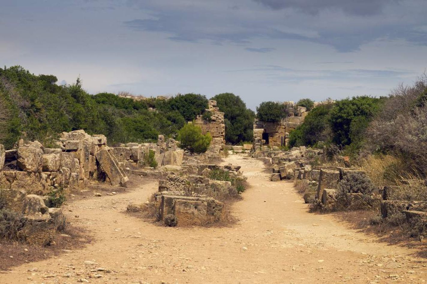 Storvandre: Selinunte