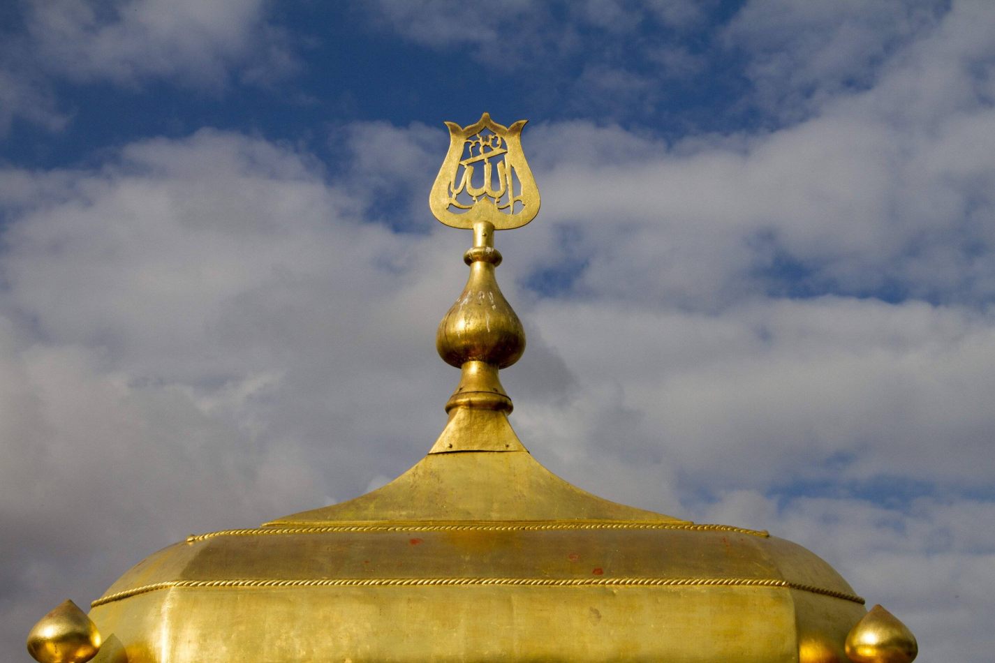 Storvandre: Istanbul