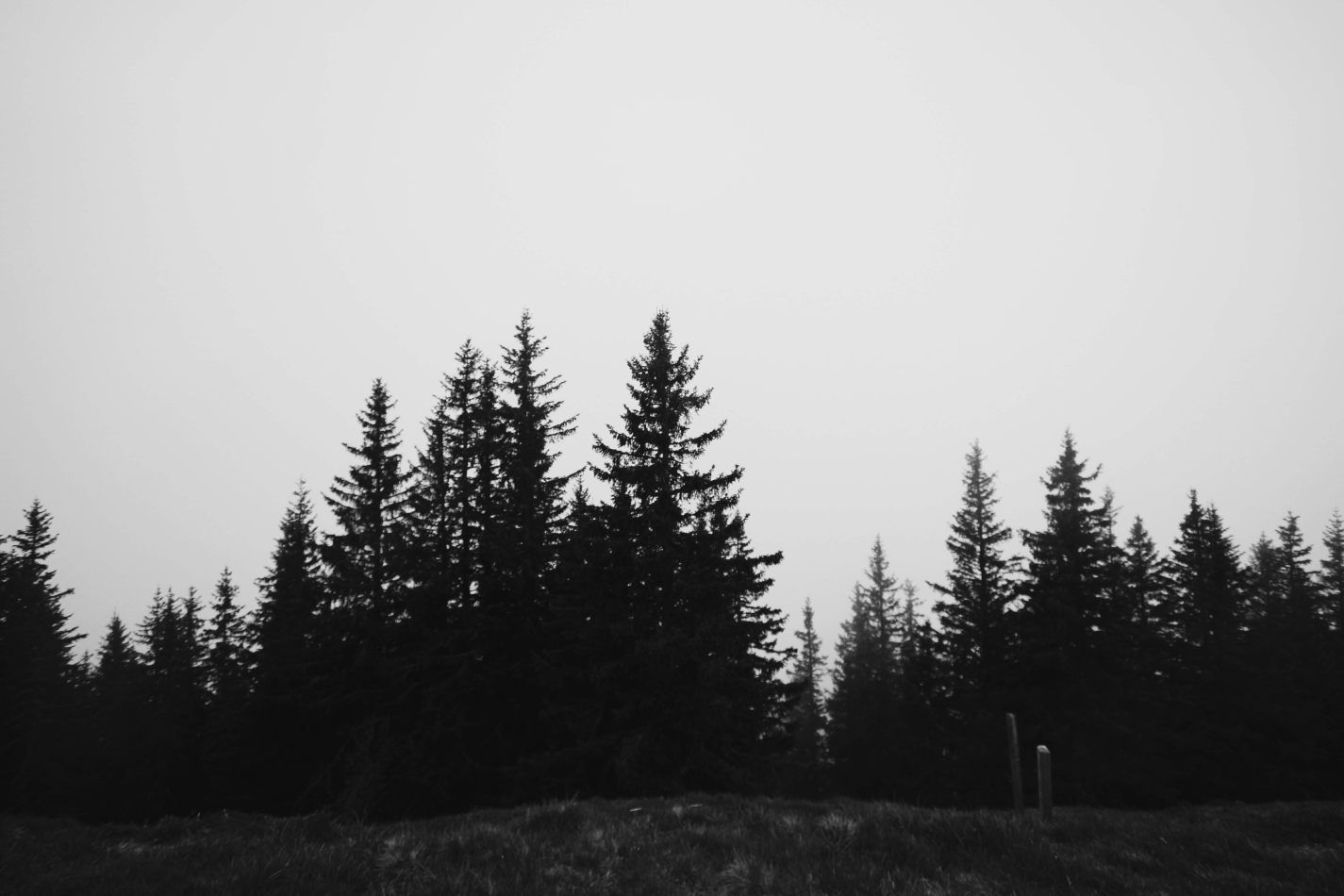 kctamvakisphotography: SWITZERLAND