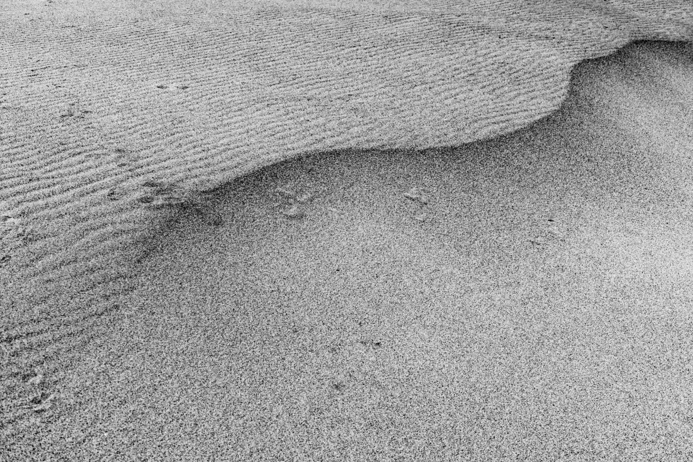 Storvandre: Golena del Po