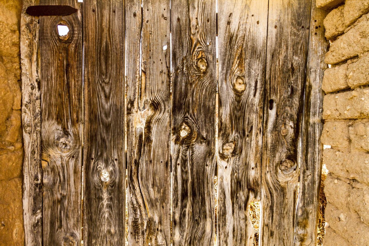 Storvandre: Montuenga