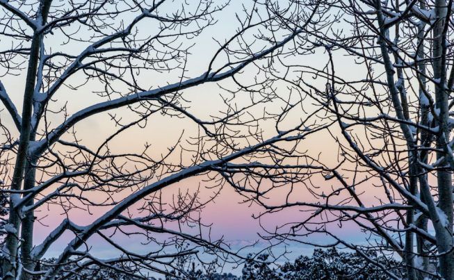 Another abbreviated day