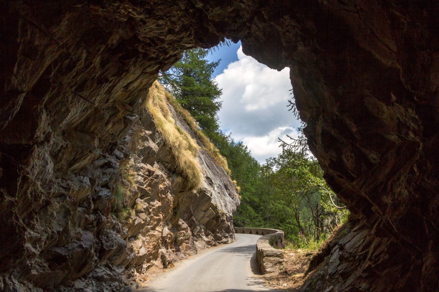Storvandre: Ritom Lake