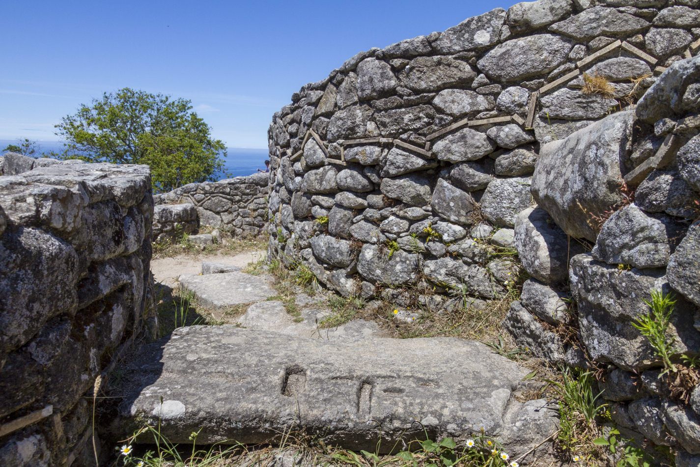 Storvandre: Santa Trega