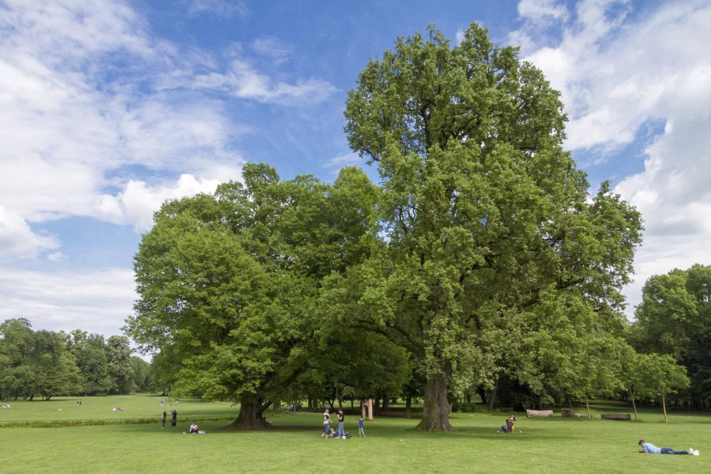 Storvandre: Villa Reale di Monza
