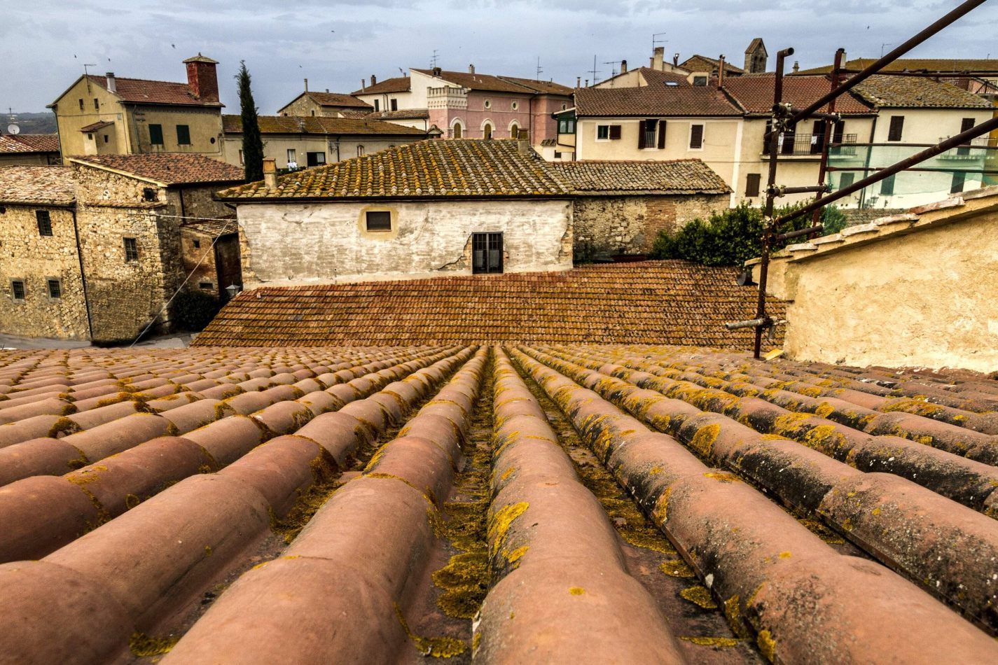 Storvandre: Magliano in Toscana