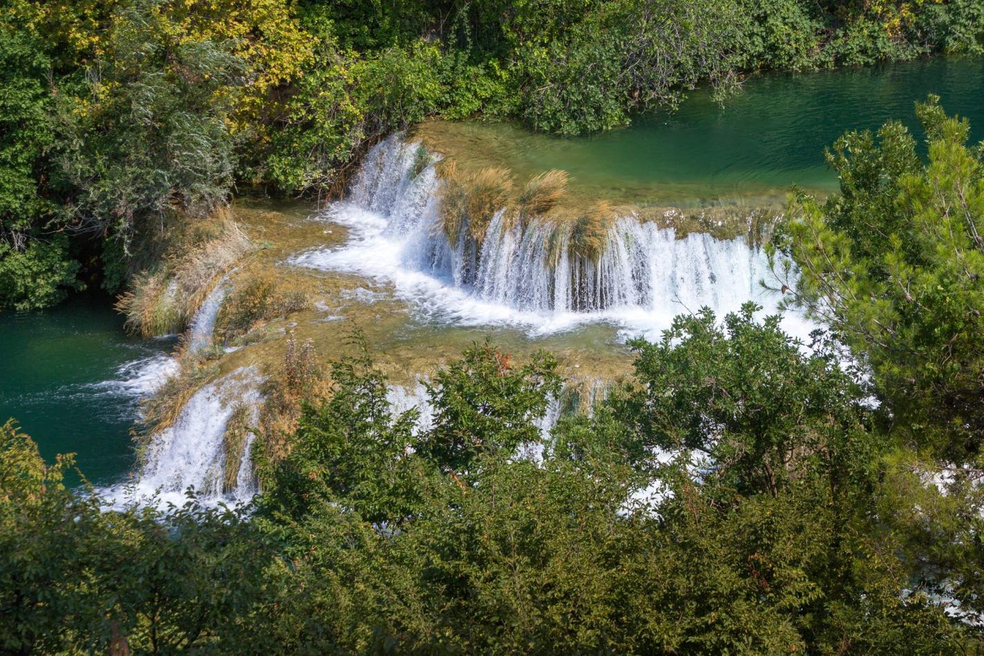 Storvandre: Krka