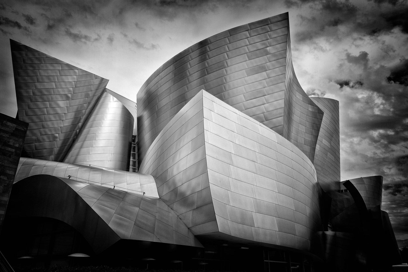 Storvandre: Los Angeles