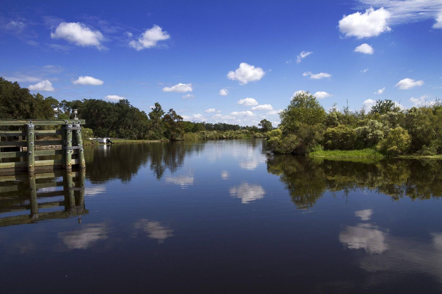 Storvandre: New Orleans