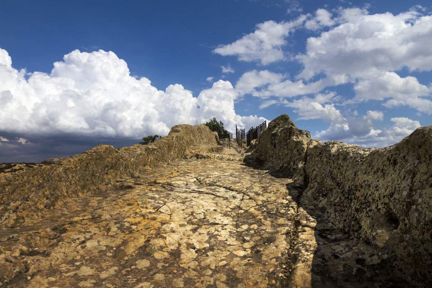 Storvandre: Sperlinga