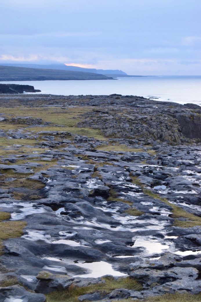 Coastline of the Burren  County Clare