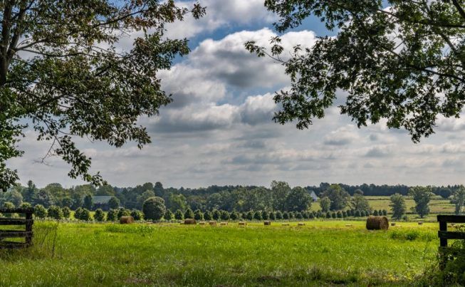 Lexington to Louisville