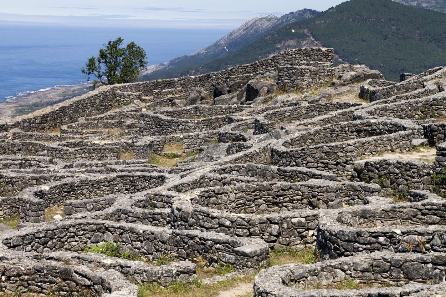 Storvandre: Santa Trega