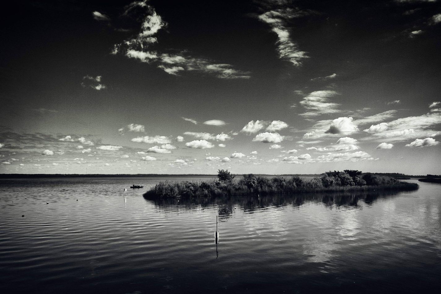 Storvandre: New Orleans