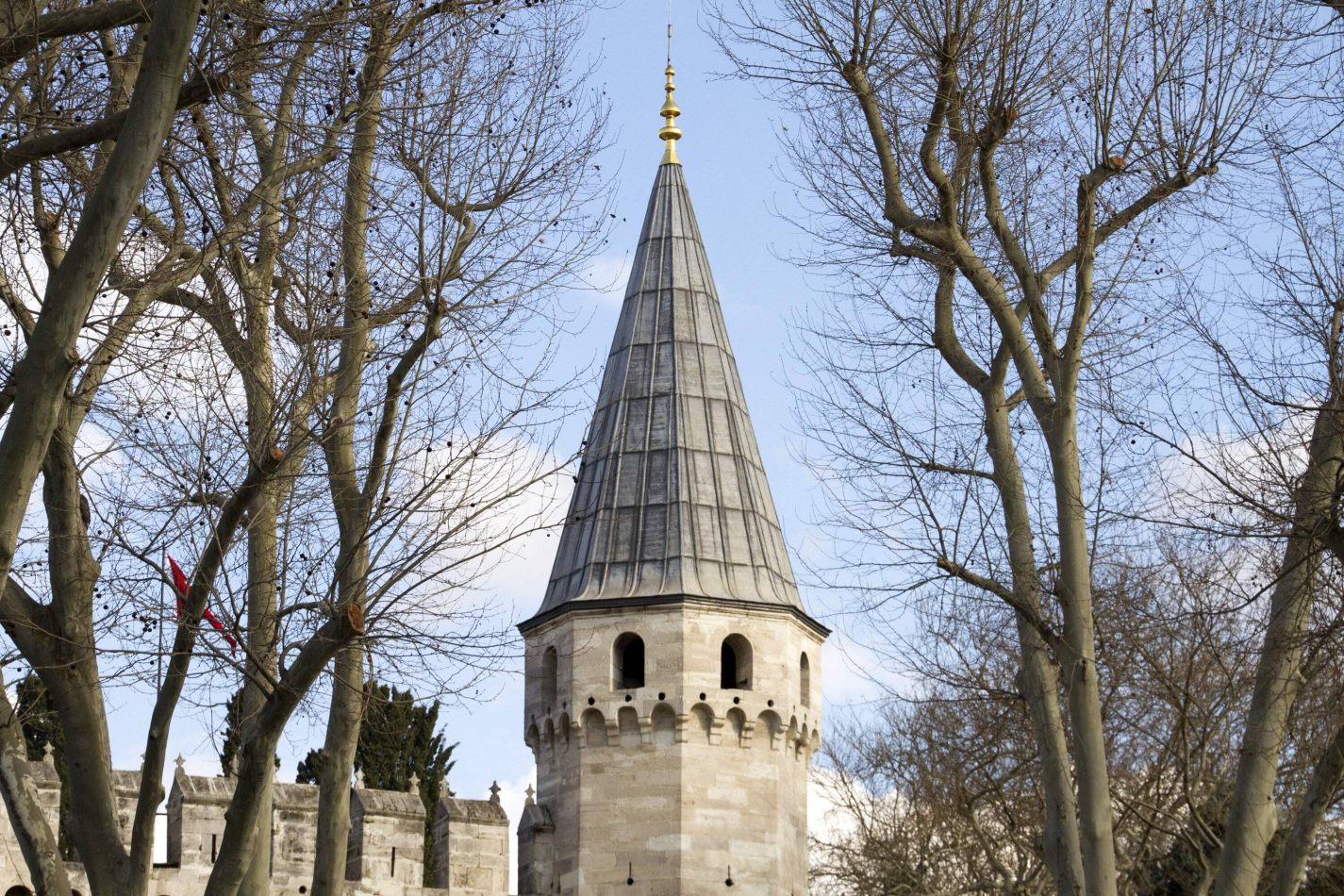 Storvandre: Istanbul