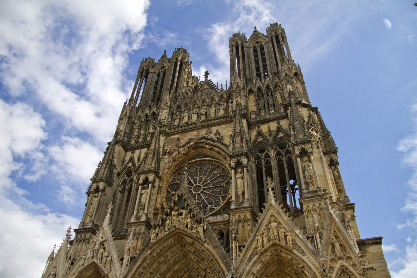 Storvandre: Reims