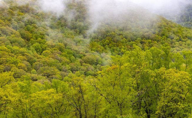 Oak Ridge to Ashville