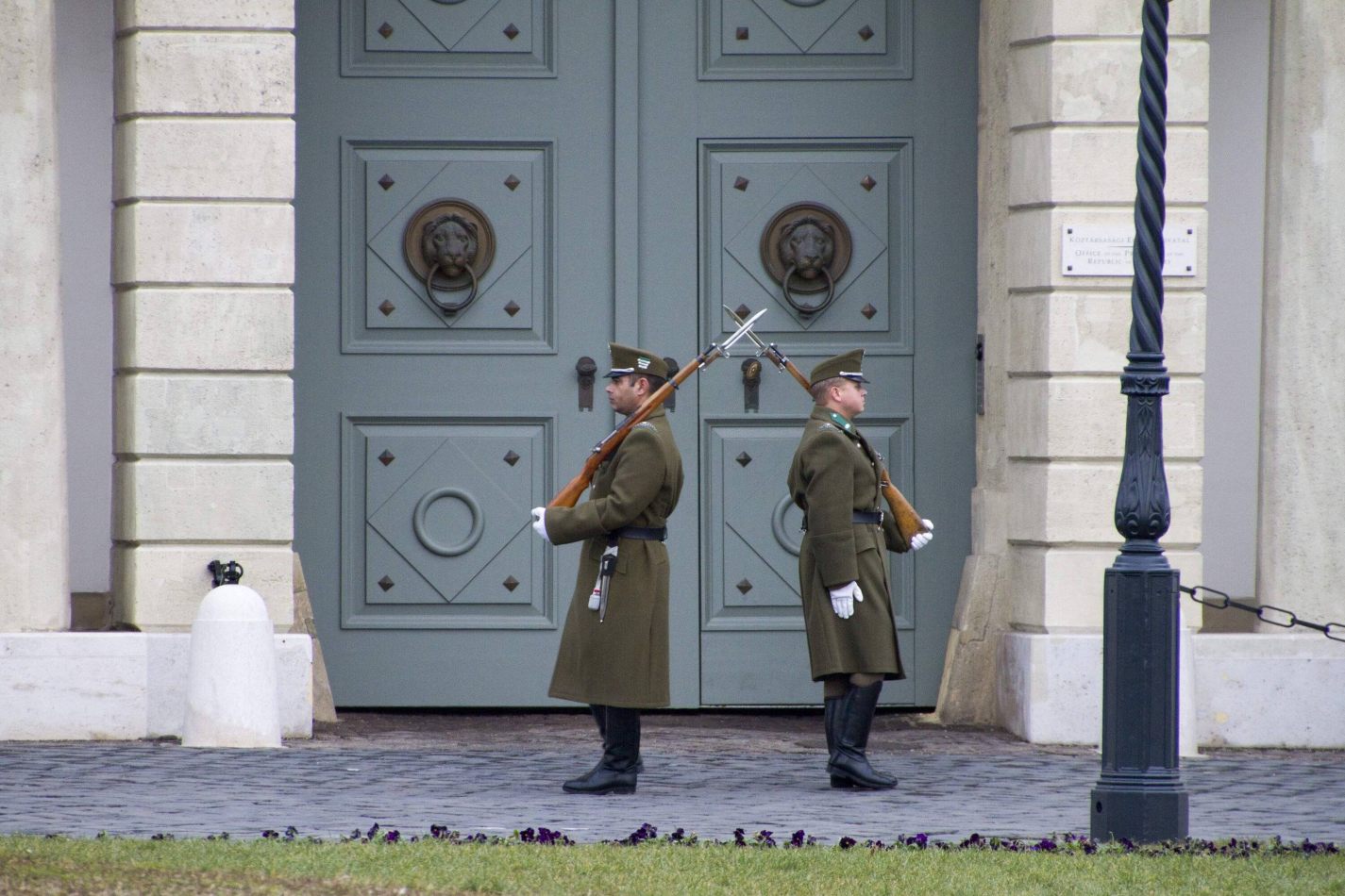 Storvandre: Budapest