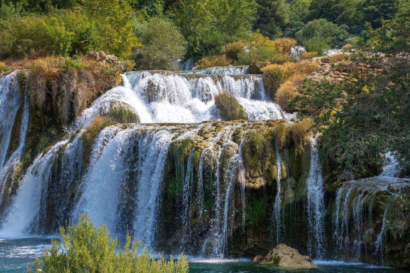 Storvandre: Krka