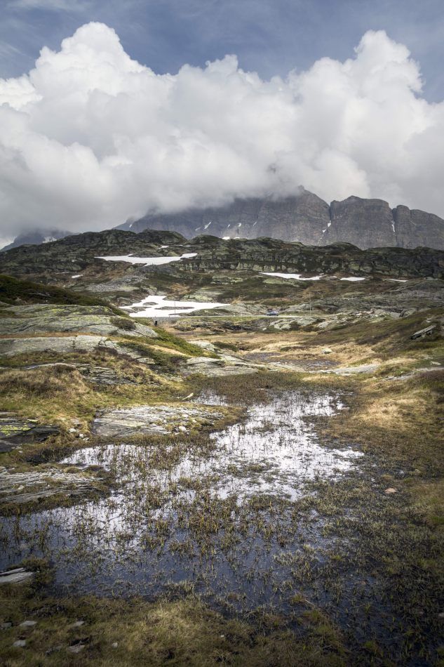 Storvandre: San Bernardino
