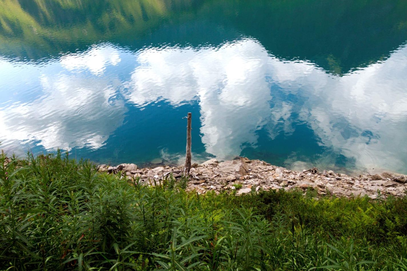 Storvandre: Ritom Lake