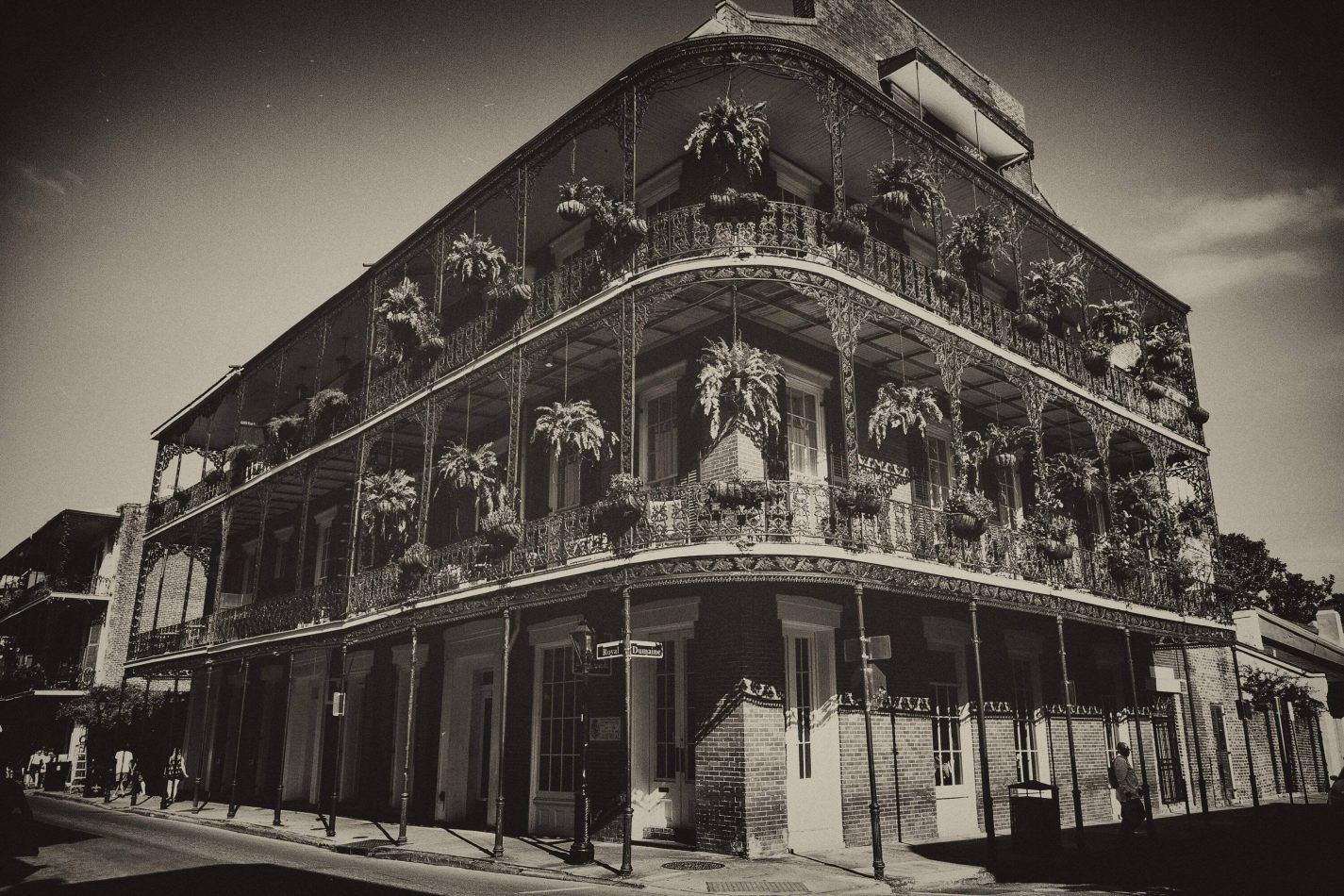 Storvandre: New Orleans