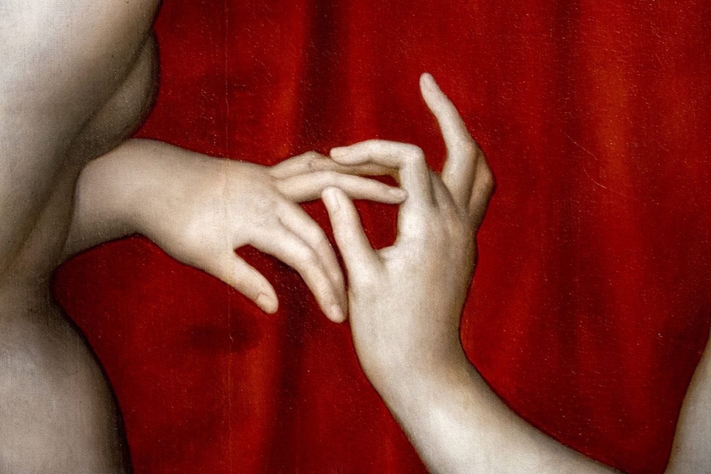 Storvandre: Florence