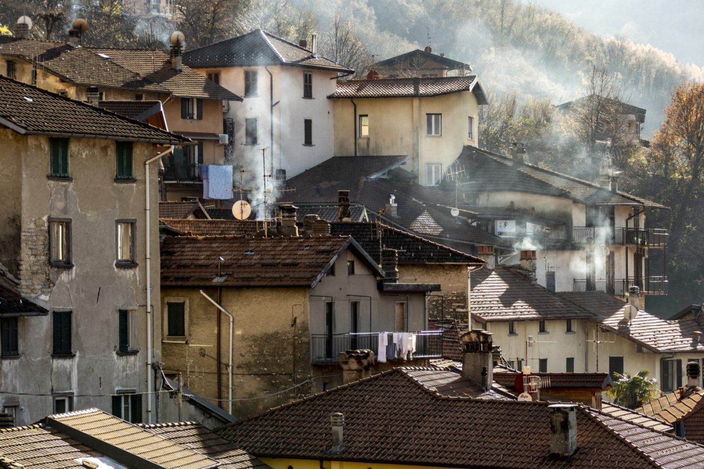 Storvandre: Pognana Lario