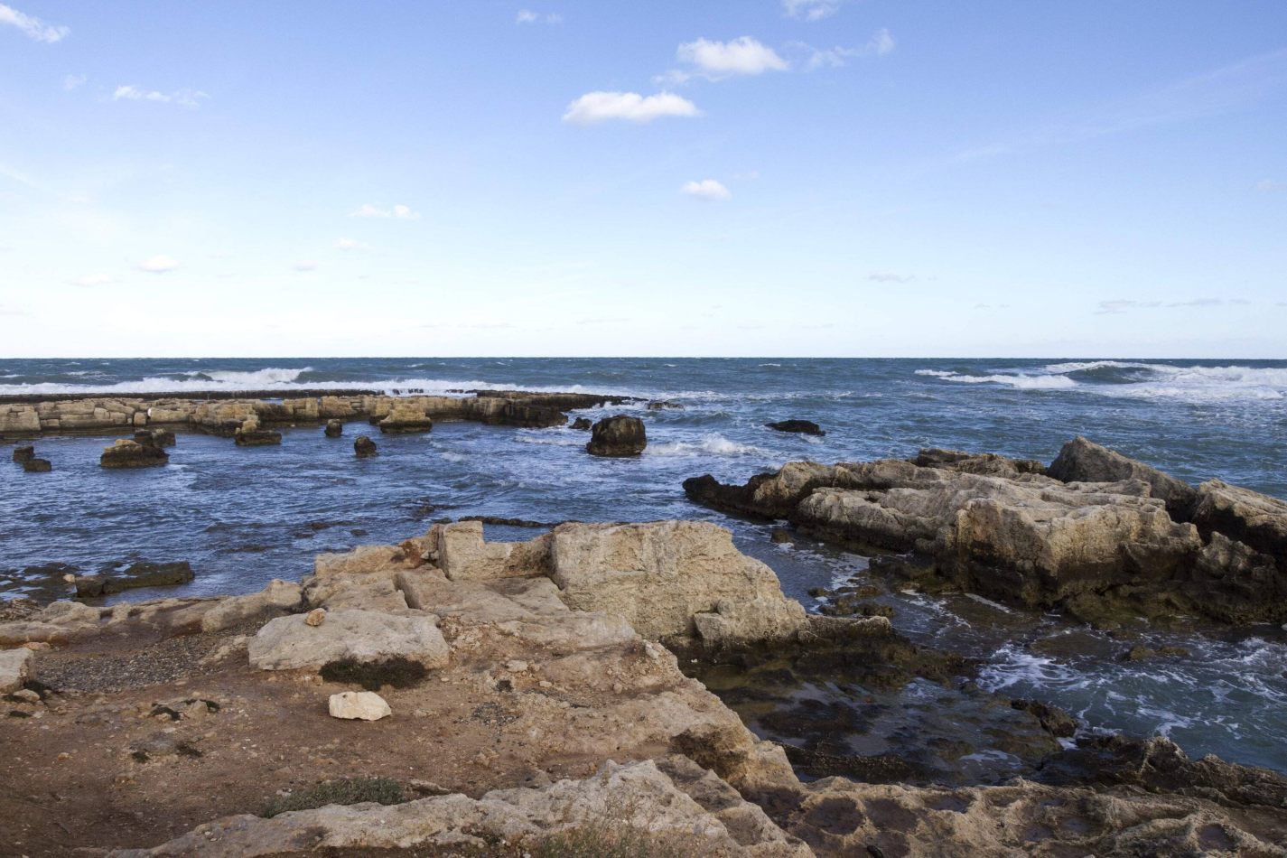 Storvandre: Polignano