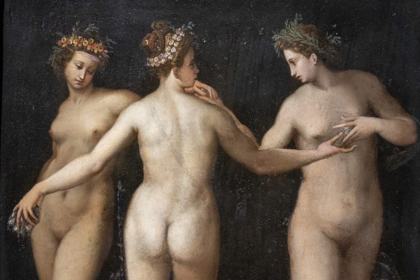 Storvandre: Florence