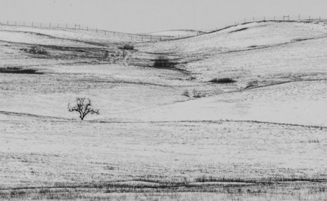 Medora Theodore Roosevelt NP  North Unit