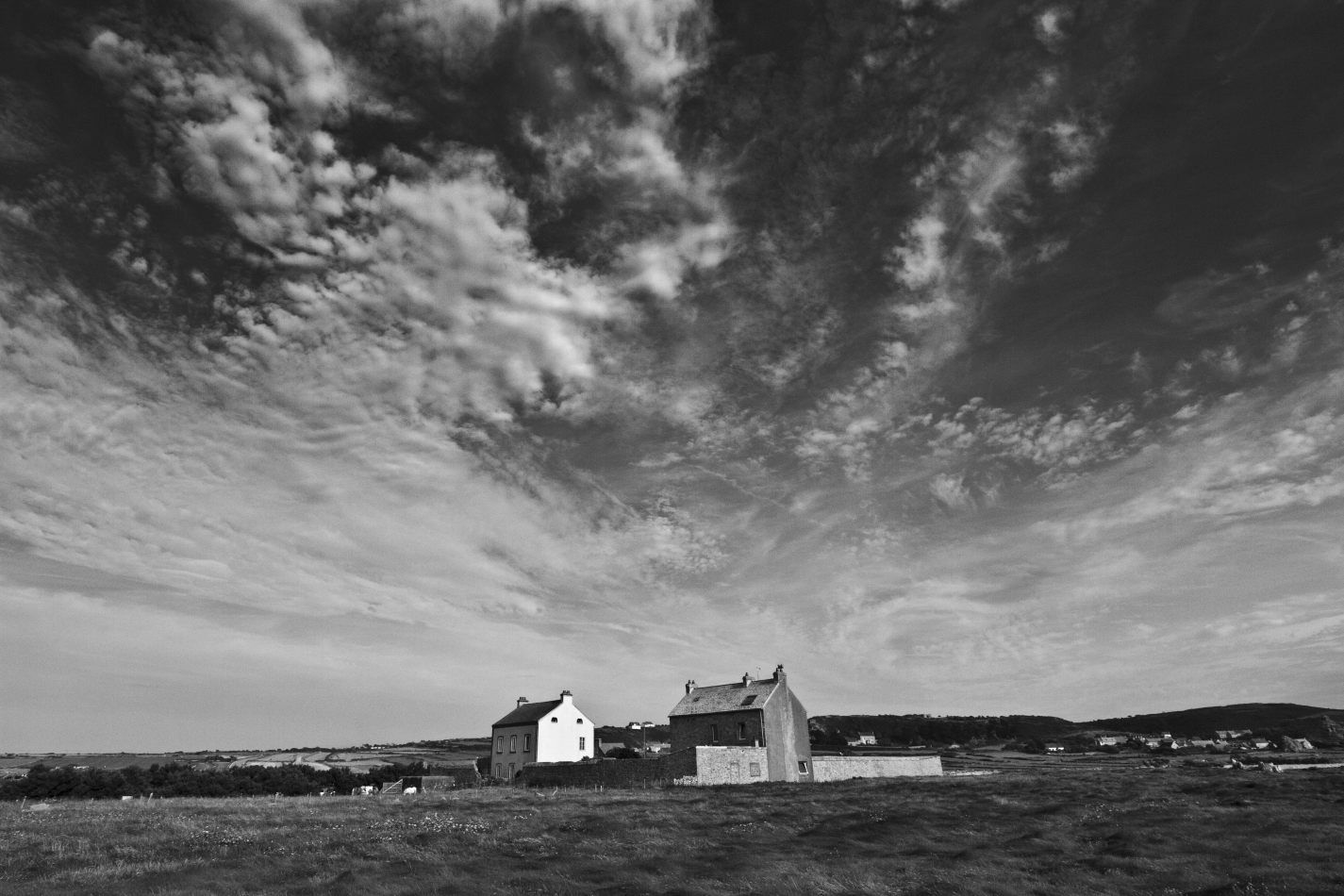 Storvandre: Cap de la Hague