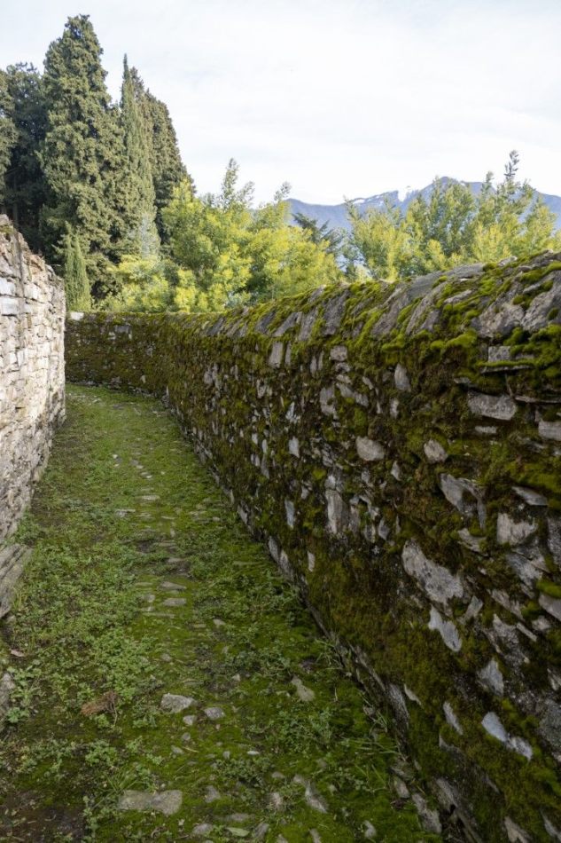 Storvandre: Carate Urio