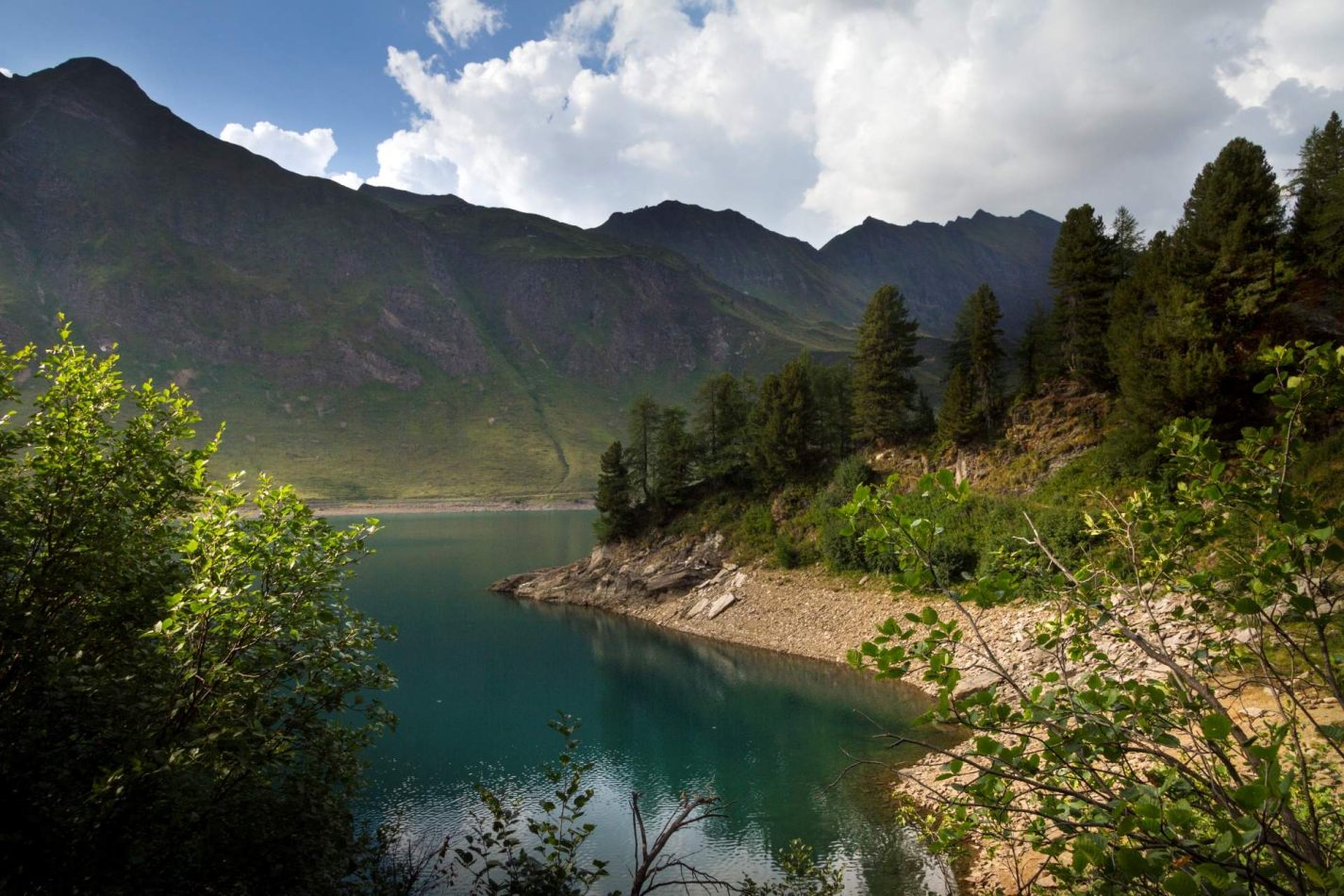 Storvandre: Ritom Lake